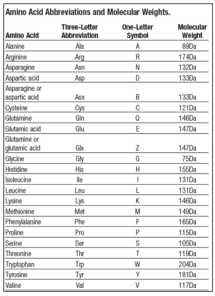 Amino Acids Table